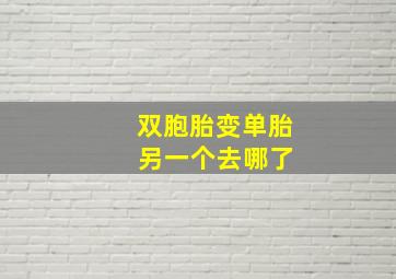 双胞胎变单胎 另一个去哪了